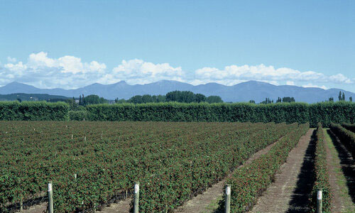 Aerial spraying New Zealand