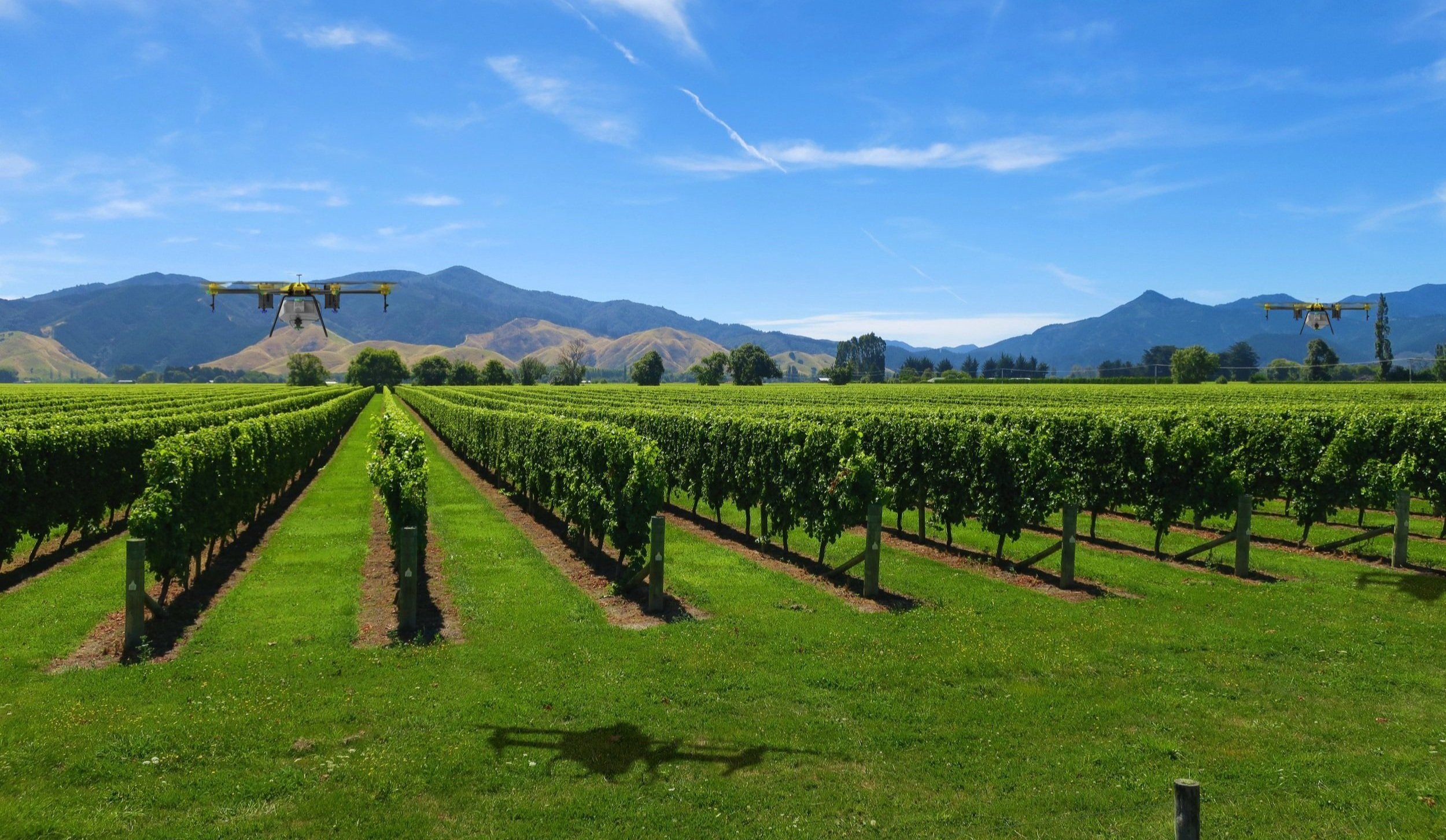 Aerial drone operations over NZ farmland
